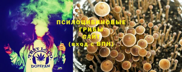 метадон Абаза