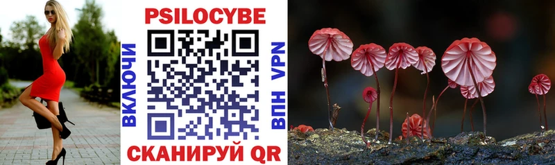 Псилоцибиновые грибы Cubensis  продажа наркотиков  Приволжск 